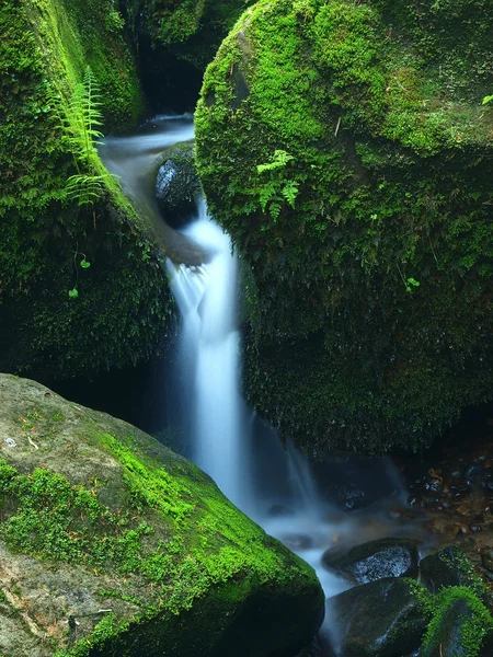 Cascade on small mountain stream, water is running over basalt boulders. — Stock Photo, Image
