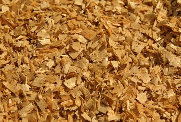 Sawdust of dry red beech with pieces of dry brown bark. Texture with detail pieces. — Stock Photo, Image