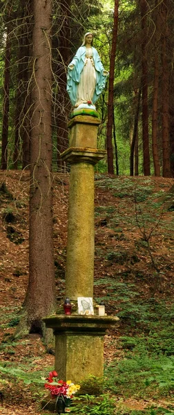 Kum taşı ayağını çek geleneksel hac sitesinde orman üzerinde madonna'nın heykeli. — Stok fotoğraf