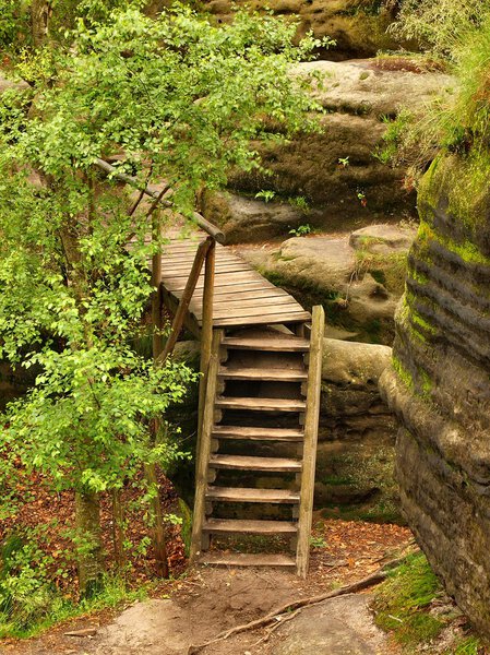 The wooden ladder in touristic path between peaks and viewpoints of Saxon Switzerland. The ground is cover by light sand and orange leaves of beeches and birches.
