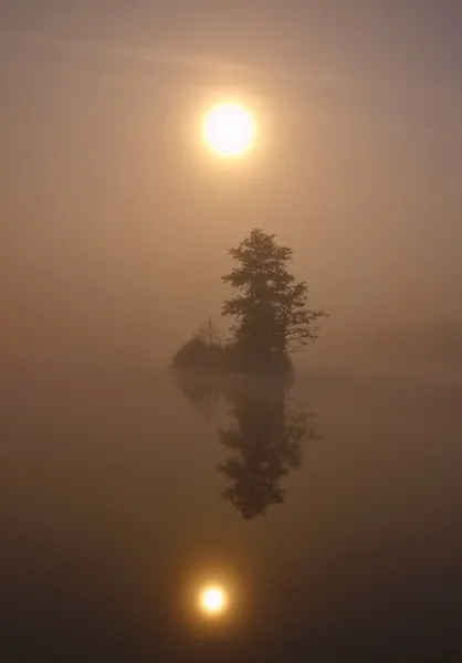 Night view to island with tree above water hidden in fog. Full moon behind of peak of the tree. Mist is moving above water level. — Stock Photo, Image