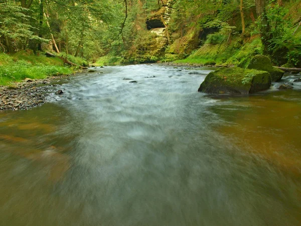 Het einde van de zomer op de berg rivier lijnen met zandsteenrotsen, grote keien en kleurrijke bomen. — Stockfoto