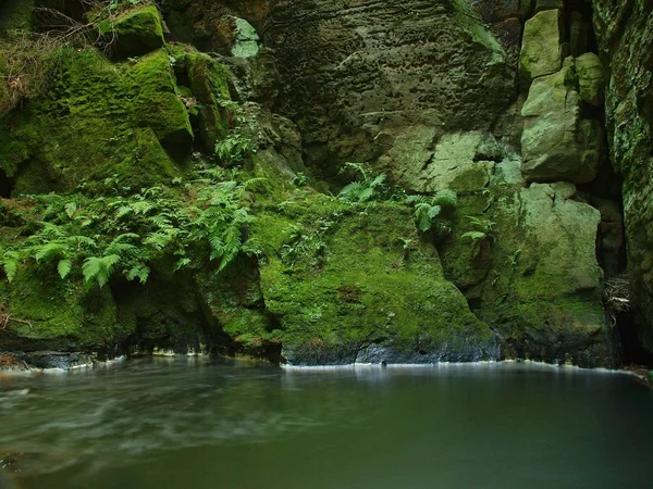 I slutet av sommaren på berget floden linjer med sandsten klippor, stora stenblock och färgglada träd. — Stockfoto