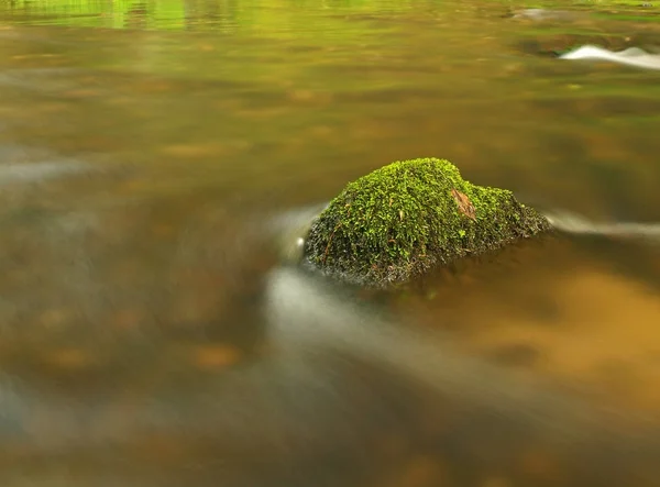 Piedra musgosa en el río bajo los árboles en el río de montaña. Aire fresco de primavera en la noche después del día lluvioso, color verde profundo de helecho y musgo — Foto de Stock