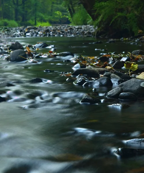 Het einde van de zomer op de berg rivier met zandsteen en basalt grote rotsen hieronder vervagen beweging water, kleurrijke bladeren verborgen onder waterniveau. — Stockfoto