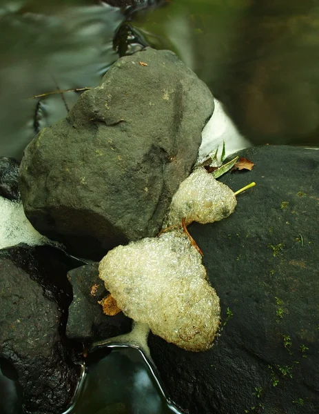 Базальтовые камни в воде горной реки, покрытые грязной коричневой пеной и пузырьками — стоковое фото