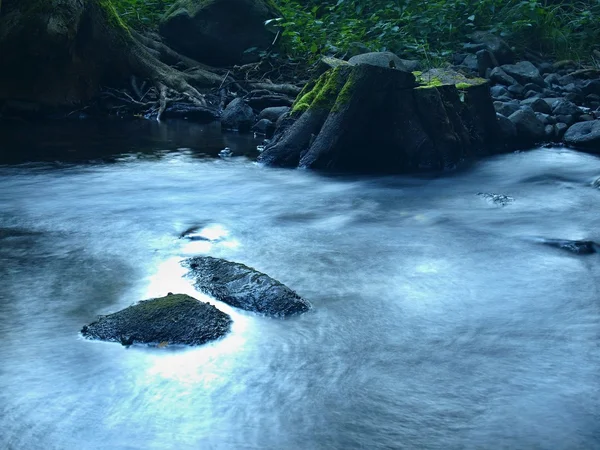 Reflection in mountain stream at old cut stump. Clear water blurred by long exposure. — Stock Photo, Image