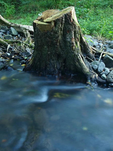 Reflexión en el arroyo de montaña en el tocón cortado viejo. Agua clara borrosa por exposición prolongada . —  Fotos de Stock