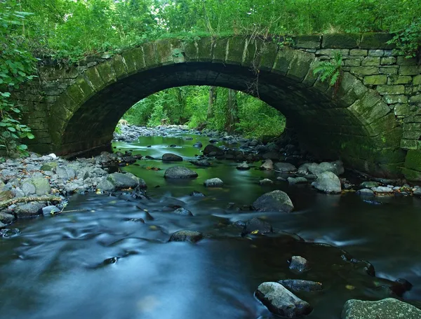 Den gamla steniga bron av fjällbäck i lämnar skogen, blå suddiga vatten kör över stenblock. — Stockfoto