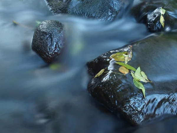 Hojas coloridas, colores otoñales en arroyo de montaña. Agua clara borrosa por exposición prolongada . —  Fotos de Stock