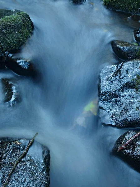 Thin twig from aspen tree on basalt boulder in blurred mountain rapid stream. Blue blurred waves, milky smoky water with reflections. — Stock Photo, Image