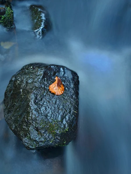 Folha colorida de árvore de álamo em pedregulho de basalto em córrego rápido de montanha borrada. Ondas turvas azuis, água fumegante leitosa com reflexos . — Fotografia de Stock