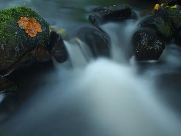 The first colorful leaf from maple tree on basalt mossy stones in blurred water of mountain rapids stream. — Stock Photo, Image