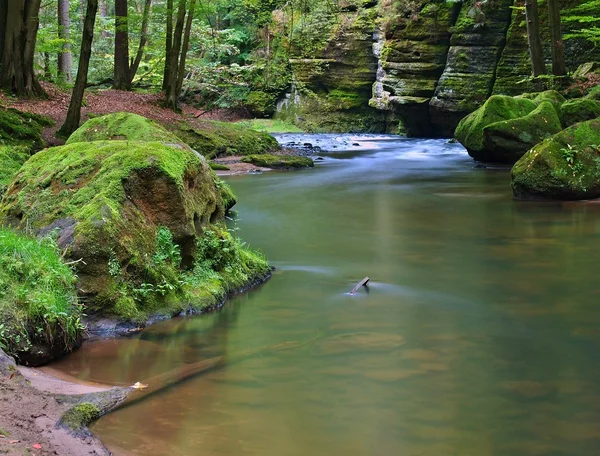 Vista en hondo barranco de arenisca con agua clara de río de montaña. Agua clara y borrosa con reflejos. Las hayas cubiertas del valle y los arces con las primeras hojas coloridas, helecho verde fresco . — Foto de Stock