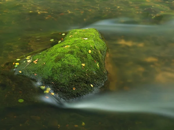 山の川の水で大きなコケむした砂岩玉石。反射のぼやけの水をオフにします。ガルチ覆われてブナやカエデの木最初カラフルの葉っぱ、ライト グリーンのファーンに雨の滴. — ストック写真