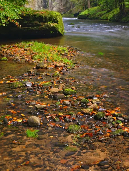 Basalt stenar i klart vatten i berg river, färgglada löv från aspen och lönnar. suddiga vågor, reflektioner i vattennivån. — Stockfoto