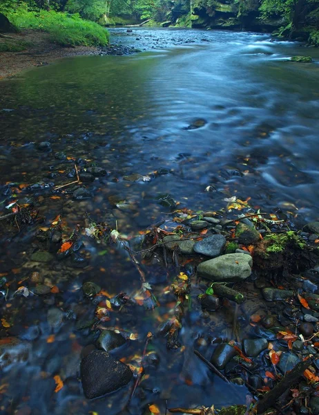 Basalt stenar i klart vatten i berg river, färgglada löv från aspen och lönnar. suddiga vågor, reflektioner i vattennivån. — Stockfoto