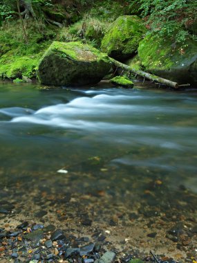 dağ nehir su büyük yosunlu kumtaşı kayalar. Bulanık su yansımalar ile temizleyin. beeches ve akçaağaç ilk renkli yaprakları ile Gulch kapalı, hafif yeşil eğreltiotu üzerinde yağmur damlaları.