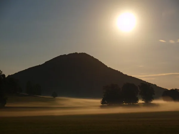 Vista nocturna a la colina con algún árbol y bajo nivel de niebla. Luna llena sobre la colina. La niebla se mueve por encima del prado . — Foto de Stock