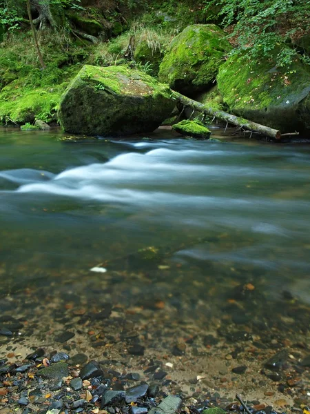 Big mossy sandstone boulders in water of mountain river. Clear blurred water with reflections. Gulch covered beeches and maple trees with first colorful leaves, rain drops on light green fern. — Stock Photo, Image
