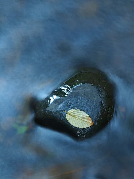 Πολύχρωμα φύλλα aspen και φύλλα σφενδάμου σε μεγάλο ψαμμίτη λίθο στο ρεύμα. πρώτο φθινόπωρο χρώματα, μπλε θολή κύματα. — Φωτογραφία Αρχείου