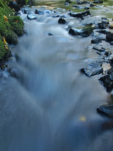 Färgglada trasiga blad från lönn på basalt stenar i suddiga vatten berg floden. — Stockfoto