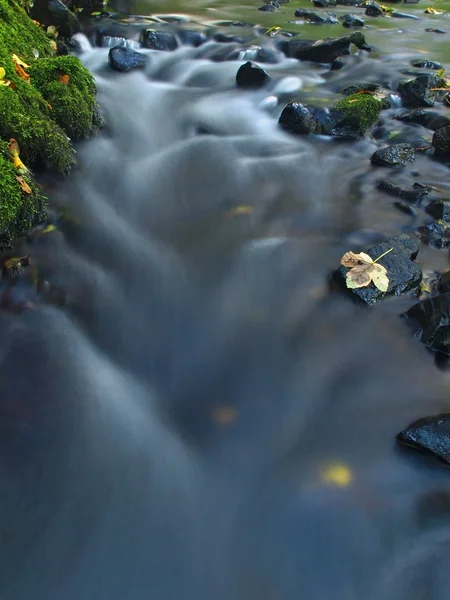 Barevné rozbité listy z javoru na čedičových kamenů v rozmazané vodě horské řeky. — Stock fotografie