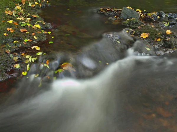 Piccola cascata piena d'acqua dopo la pioggia. Foglie colorate di acero e ciliegio selvatico adagiate su roccia basaltica umida. Pietre e foglie autunnali colorate — Foto Stock