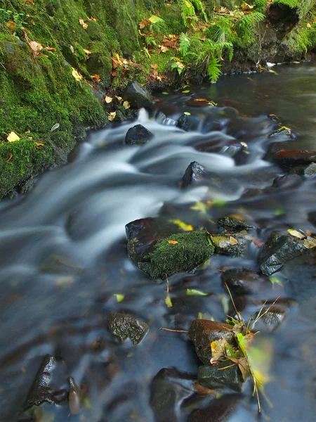 The colorful broken leaf from maple tree on basalt stones in blurred water of mountain river. — Stock Photo, Image