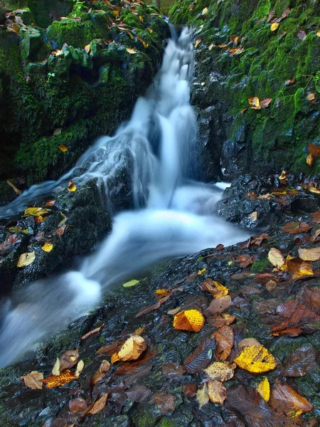 Petite cascade pleine d'eau après la pluie. Feuilles colorées d'érable et de cerisier sauvage posées sur un rocher de basalte humide. Pierres et feuilles d'automne colorées — Photo