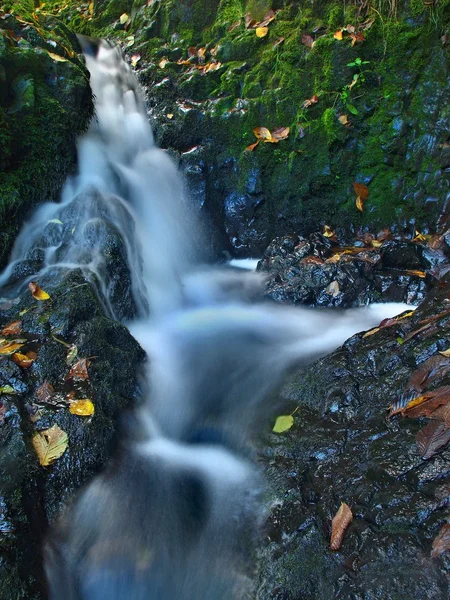 Small waterfall full of water after rain. Colorful leaves from maple tree and wild cherry laying on wet basalt rock. Stones and colorful autumn leaves — Stock Photo, Image