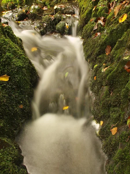 Piccola cascata piena d'acqua dopo la pioggia. Foglie colorate di acero e ciliegio selvatico adagiate su roccia basaltica umida. Pietre e foglie autunnali colorate — Foto Stock