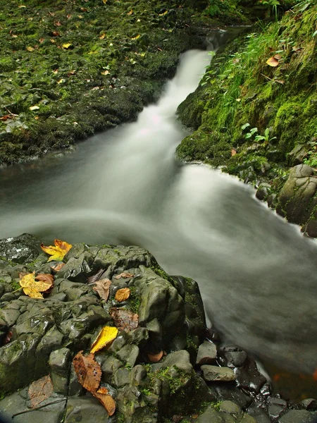 Små vattenfall full med vatten efter regn. färgglada löv från lönn och vilda körsbär på våta basalt rock. stenar och färgglada höstlöv — Stockfoto