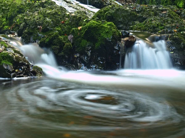 Blurred water in waterfall full of water. Colorful leaves from maple tree and wild cherry laying on wet mossy basalt rock. — Stock Photo, Image