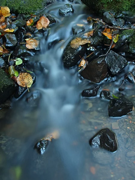 La foglia rotta variopinta da acero su pietre di basalto in acqua sfocata di fiume di montagna . — Foto Stock