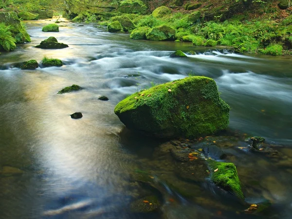 Dağ dere kumtaşı gulch ve yeşil dallar acacias, beeches ve oaks için görüntüleyin. su seviyesi yeşil yansımalar yapar. Yaz sonunda dağ Nehri. — Stok fotoğraf