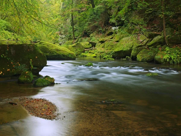 查看到山中的小溪中砂岩西部片和绿枝金合欢、 山毛榉和橡树的下面。水位使绿色思考。在山区河流夏天的结束. — 图库照片