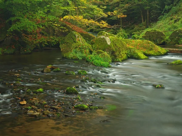 Vista sul torrente di montagna in un golfo di arenaria e sotto rami verdi di acacie, faggi e querce. Il livello dell'acqua fa riflessi verdi. La fine dell'estate al fiume di montagna . — Foto Stock