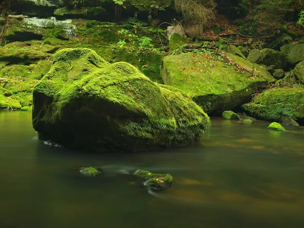 Vue sur le ruisseau de montagne dans le golfe de grès et sous les branches vertes d'acacias, de hêtres et de chênes. Le niveau d'eau fait des reflets verts. La fin de l'été à la rivière de montagne . — Photo