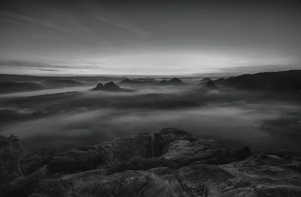 Vista sulla profonda valle nebbiosa della Svizzera sassone. Picchi di arenaria aumentati da sfondo nebbioso, la nebbia è arancione a causa dell'alba . — Foto Stock