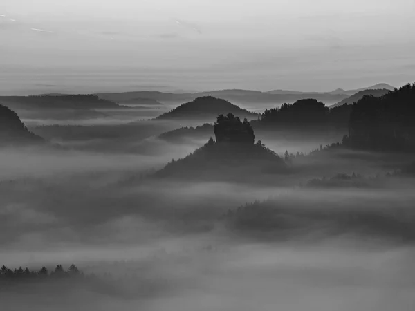 Vue sur la vallée profonde et brumeuse en Suisse saxonne. Les pics de grès ont augmenté à partir du fond brumeux. Image en noir et blanc . — Photo