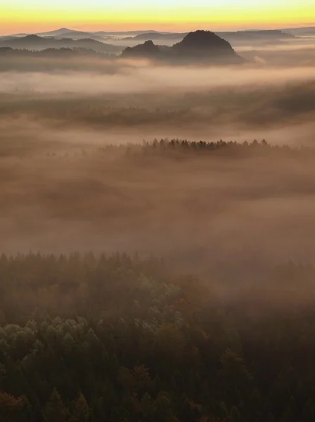 Alba in una bellissima montagna della Svizzera ceco-sassone. Picchi di arenaria aumentati da sfondo nebbioso, la nebbia è arancione a causa dei raggi del sole . — Foto Stock