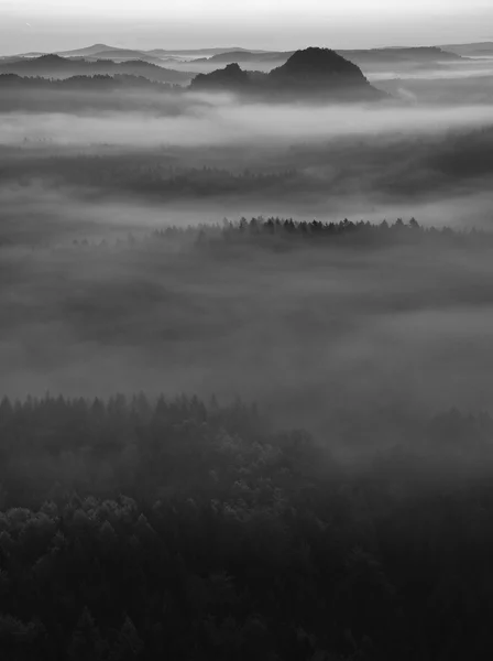 View into deep misty valley in Saxon Switzerland. Sandstone peaks increased from foggy background. Black and white picture. — Stock Photo, Image