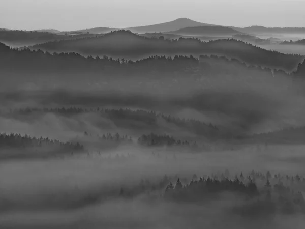 View into deep misty valley in Saxon Switzerland. Sandstone peaks increased from foggy background. Black and white picture. — Stock Photo, Image
