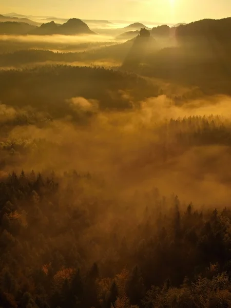 Złoty świt w piękne góry Szwajcarii Saksonii. Piaskowiec szczyty wzrosła od złota mglisty tło, mgła jest żółto pomarańczowy złota ze względu na pierwsze silne promienie. — Zdjęcie stockowe