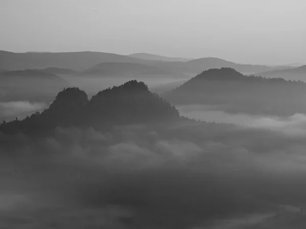 Pohled do hlubokých mlhavé údolí v Saském Švýcarsku. pískovcové vrcholy se zvýšil z zamlžené pozadí. černobílý obrázek. — Stockfoto