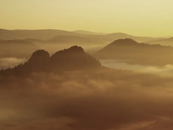 Golden sunrise in a beautiful mountain of Saxony Switzerland. Sandstone peaks increased from gold foggy background, the fog is yellow-orange gold due to first strong sun rays. — Stock Photo, Image