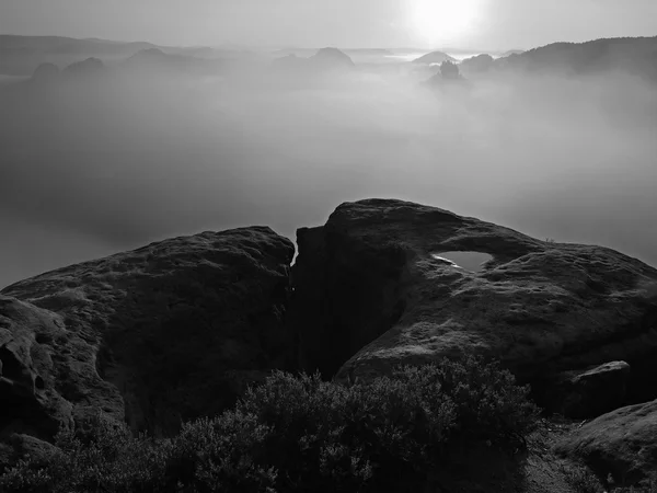 Blick in ein tiefes Nebeltal in der Sächsischen Schweiz. Sandsteinspitzen wuchsen aus dem nebligen Hintergrund. Schwarz-Weiß-Bild. — Stockfoto