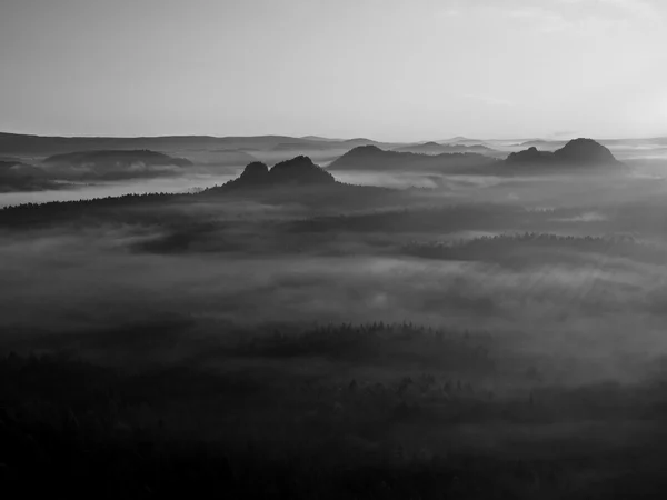 Blick in ein tiefes Nebeltal in der Sächsischen Schweiz. Sandsteinspitzen wuchsen aus dem nebligen Hintergrund. Schwarz-Weiß-Bild. — Stockfoto