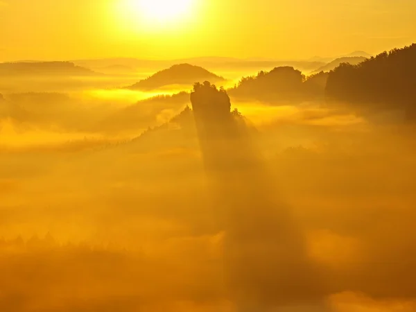 Lever de soleil doré dans une belle montagne de Saxe Suisse. Les pics de grès ont augmenté à partir du fond brumeux d'or, le brouillard est jaune-orange or en raison des premiers rayons du soleil forts . — Photo